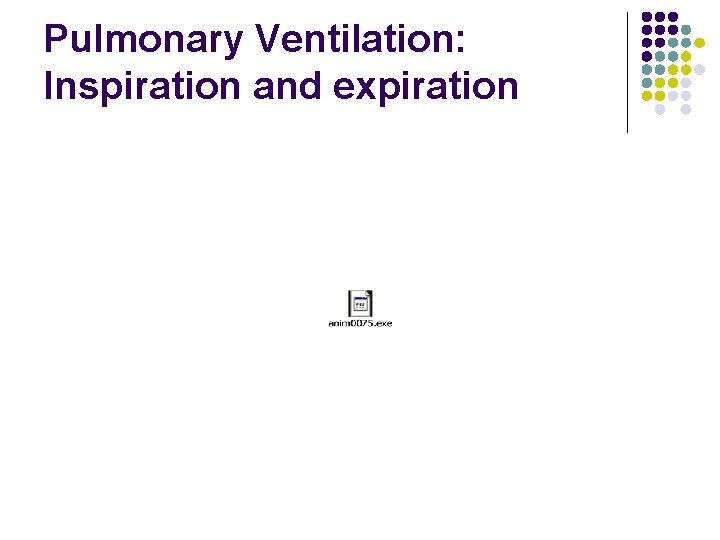 Pulmonary Ventilation: Inspiration and expiration Pulmonary Ventilation: Inspiration and expiration