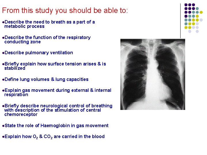 From this study you should be able to: l. Describe the need to breath From this study you should be able to: l. Describe the need to breath