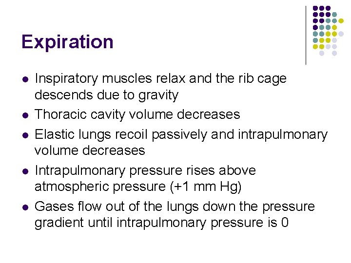Expiration l l l Inspiratory muscles relax and the rib cage descends due to Expiration l l l Inspiratory muscles relax and the rib cage descends due to