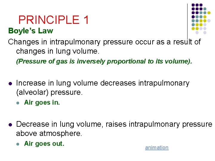 PRINCIPLE 1 Boyle’s Law Changes in intrapulmonary pressure occur as a result of changes PRINCIPLE 1 Boyle’s Law Changes in intrapulmonary pressure occur as a result of changes