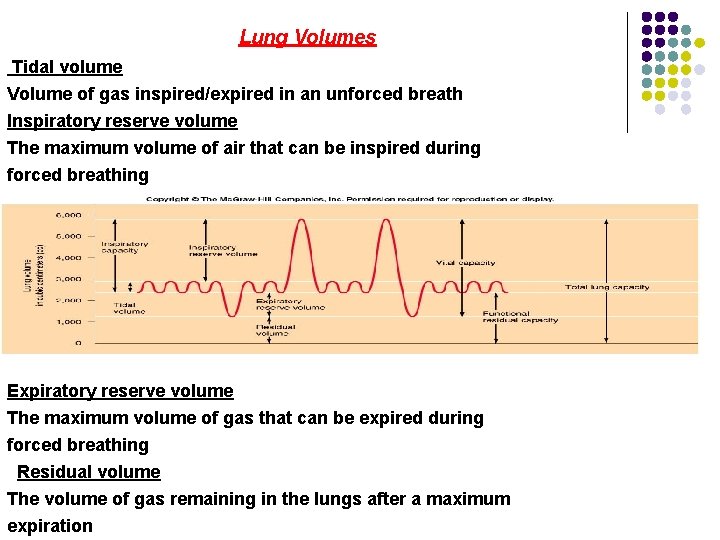 Lung Volumes Tidal volume Volume of gas inspired/expired in an unforced breath Inspiratory reserve Lung Volumes Tidal volume Volume of gas inspired/expired in an unforced breath Inspiratory reserve