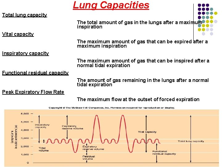 Lung Capacities Total lung capacity The total amount of gas in the lungs after Lung Capacities Total lung capacity The total amount of gas in the lungs after