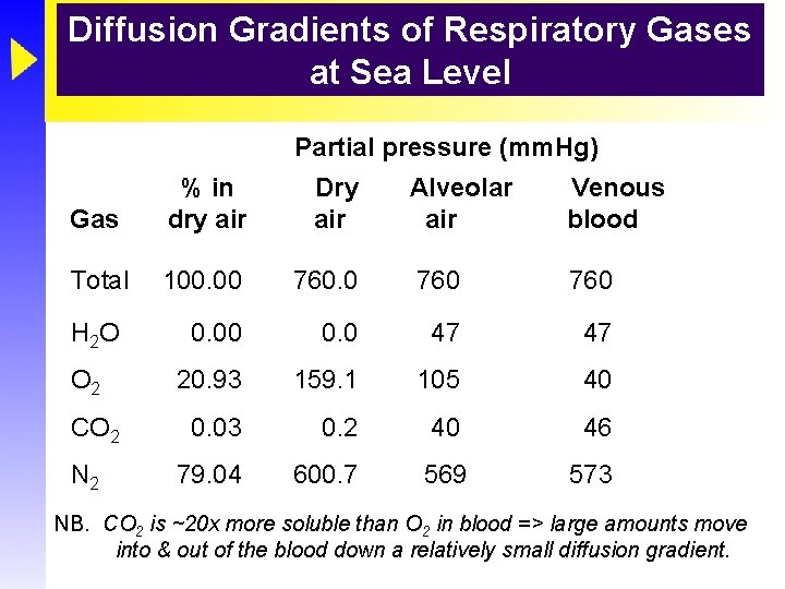 Diffusion Gradients of Respiratory Gases at Sea Level Partial pressure (mm. Hg) Gas % Diffusion Gradients of Respiratory Gases at Sea Level Partial pressure (mm. Hg) Gas %