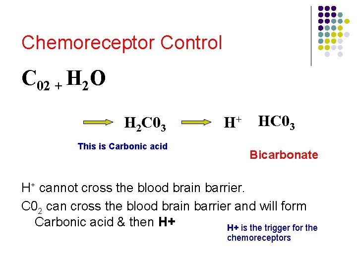 Chemoreceptor Control C 02 + H 2 O H 2 C 03 This is Chemoreceptor Control C 02 + H 2 O H 2 C 03 This is