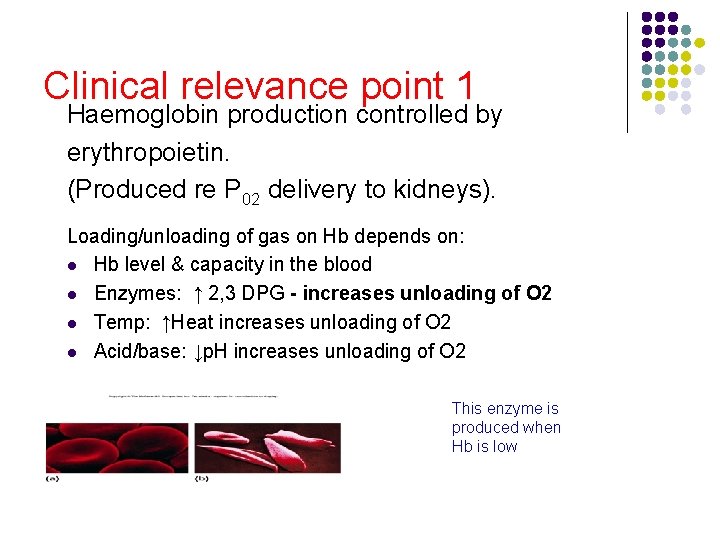 Clinical relevance point 1 Haemoglobin production controlled by erythropoietin. (Produced re P 02 delivery Clinical relevance point 1 Haemoglobin production controlled by erythropoietin. (Produced re P 02 delivery