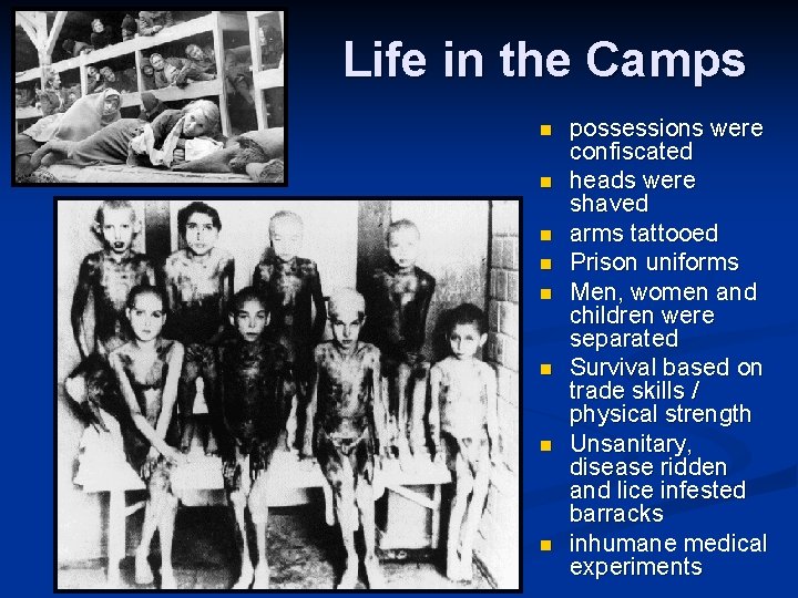 Life in the Camps n n n n possessions were confiscated heads were shaved
