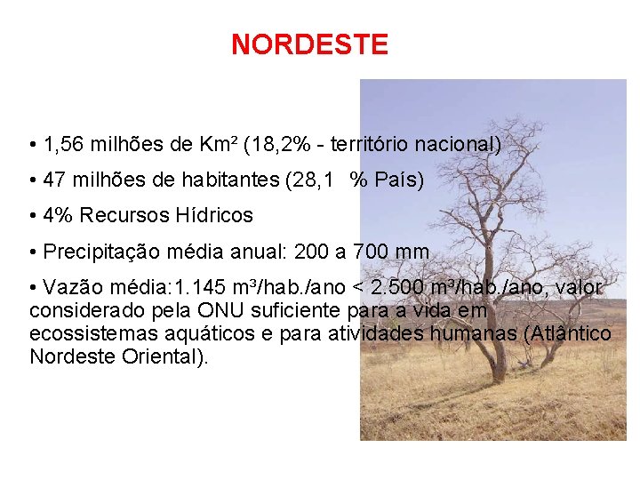 NORDESTE • 1, 56 milhões de Km² (18, 2% - território nacional) • 47