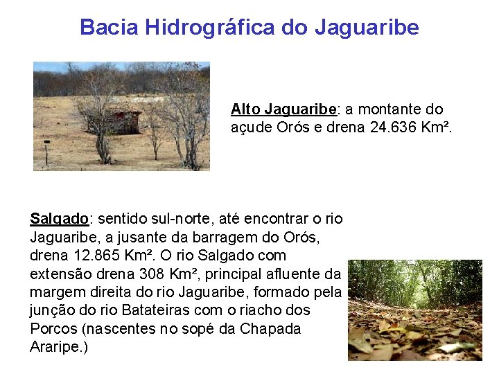 Bacia Hidrográfica do Jaguaribe Alto Jaguaribe: a montante do açude Orós e drena 24.