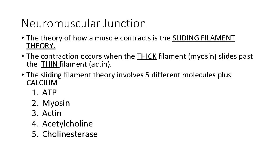 Neuromuscular Junction • The theory of how a muscle contracts is the SLIDING FILAMENT Neuromuscular Junction • The theory of how a muscle contracts is the SLIDING FILAMENT