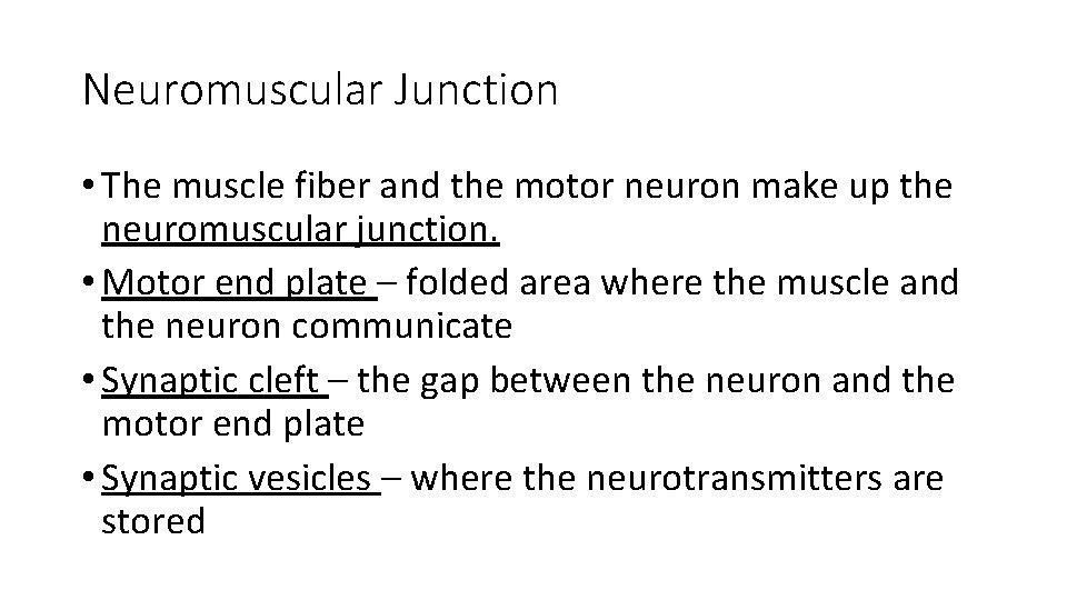 Neuromuscular Junction • The muscle fiber and the motor neuron make up the neuromuscular Neuromuscular Junction • The muscle fiber and the motor neuron make up the neuromuscular