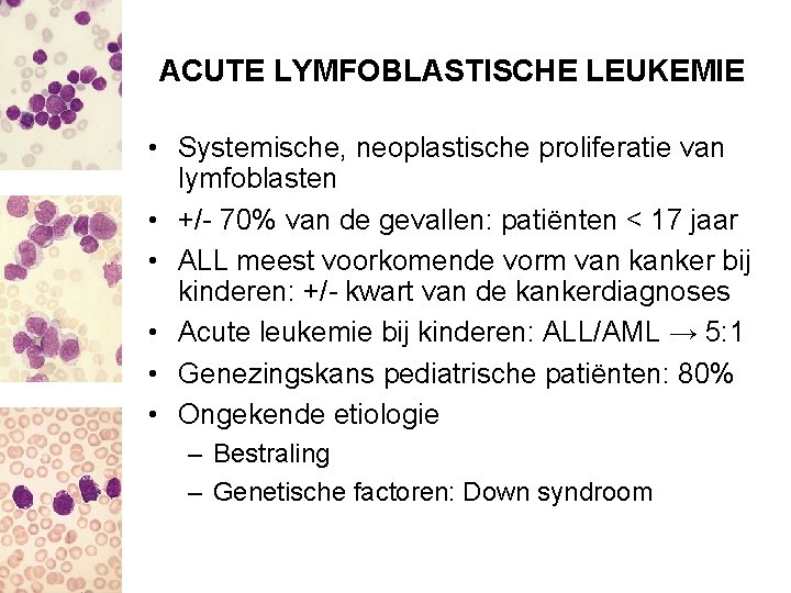 ACUTE LYMFOBLASTISCHE LEUKEMIE • Systemische, neoplastische proliferatie van lymfoblasten • +/- 70% van de