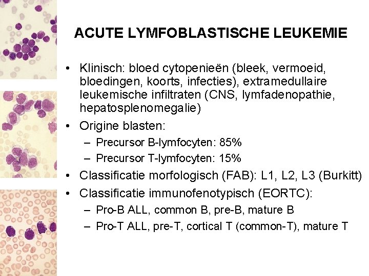 ACUTE LYMFOBLASTISCHE LEUKEMIE • Klinisch: bloed cytopenieën (bleek, vermoeid, bloedingen, koorts, infecties), extramedullaire leukemische