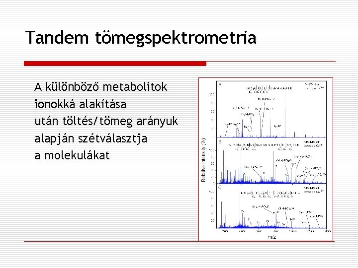 Tandem tömegspektrometria A különböző metabolitok ionokká alakítása után töltés/tömeg arányuk alapján szétválasztja a molekulákat