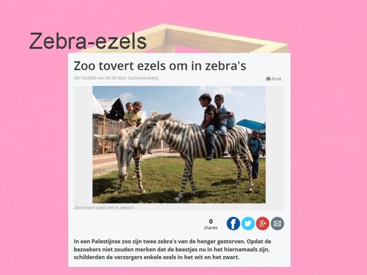 Zebra-ezels 