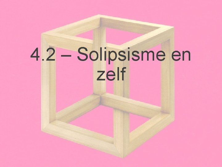 4. 2 – Solipsisme en zelf 