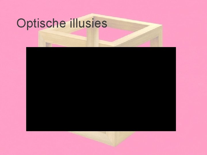 Optische illusies 