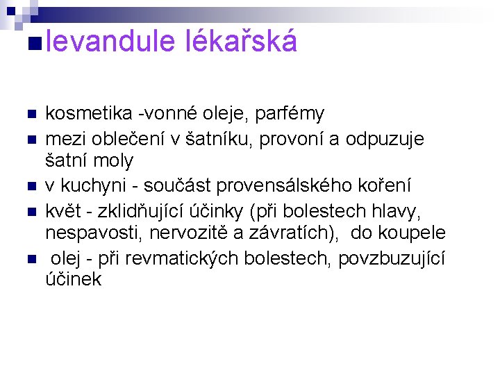 n levandule n n n lékařská kosmetika -vonné oleje, parfémy mezi oblečení v šatníku,