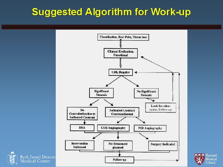 Suggested Algorithm for Work-up Harvard Medical School 
