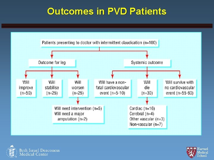 Outcomes in PVD Patients Harvard Medical School 