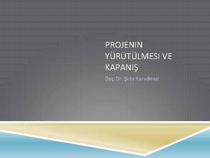 PROJENIN YÜRÜTÜLMESI VE KAPANIŞ Doç. Dr. Şirin Karadeniz 