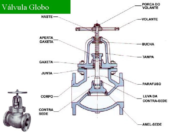 Válvula Globo 