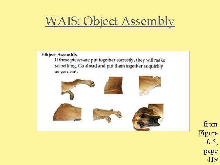 WAIS: Object Assembly from Figure 10. 5, page 419 