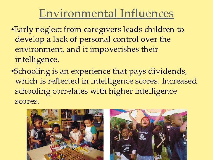 Environmental Influences • Early neglect from caregivers leads children to develop a lack of