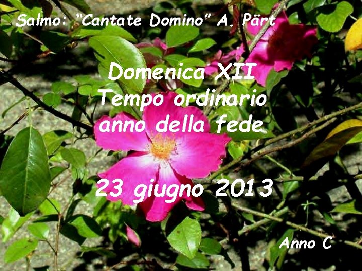 Salmo: “Cantate Domino” A. Pärt Domenica XII Tempo ordinario anno della fede 23 giugno Salmo: “Cantate Domino” A. Pärt Domenica XII Tempo ordinario anno della fede 23 giugno