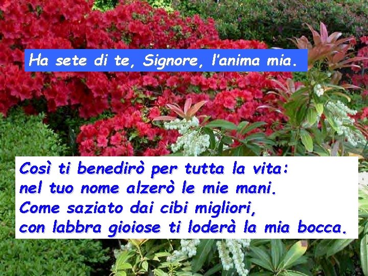Ha sete di te, Signore, l’anima mia. Così ti benedirò per tutta la vita: Ha sete di te, Signore, l’anima mia. Così ti benedirò per tutta la vita: