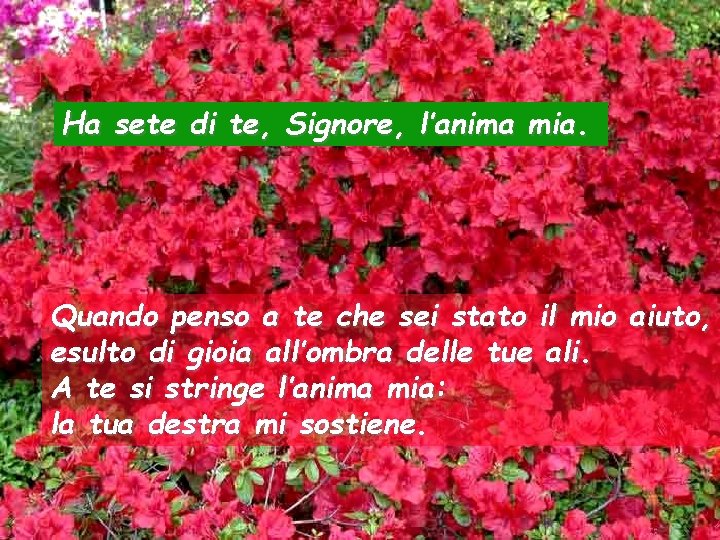 Ha sete di te, Signore, l’anima mia. Quando penso a te che sei stato Ha sete di te, Signore, l’anima mia. Quando penso a te che sei stato