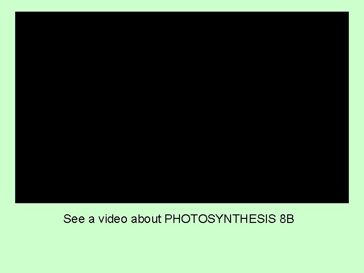 See a video about PHOTOSYNTHESIS 8 B 