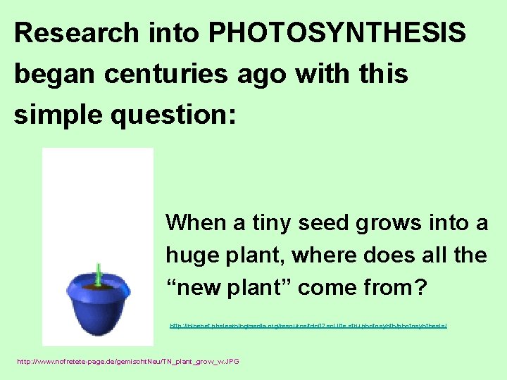 Research into PHOTOSYNTHESIS began centuries ago with this simple question: When a tiny seed