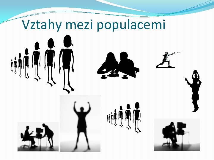 Vztahy mezi populacemi 