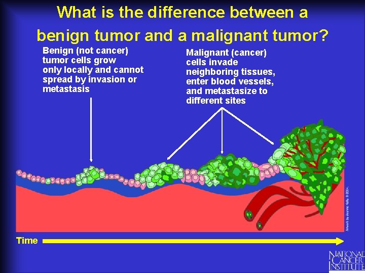What is the difference between a benign tumor and a malignant tumor? Benign (not