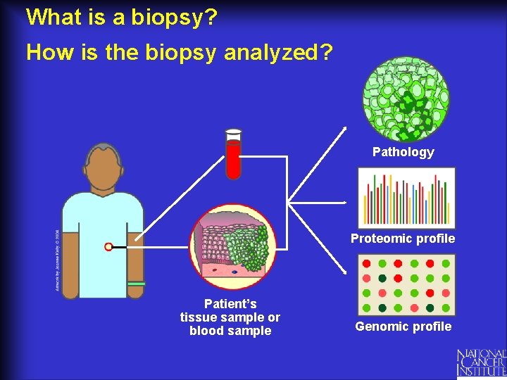 What is a biopsy? How is the biopsy analyzed? Pathology Proteomic profile Patient’s tissue