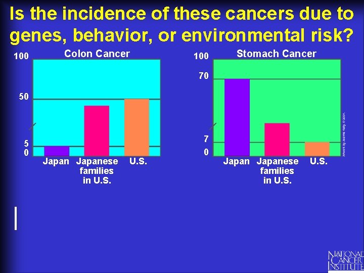 Is the incidence of these cancers due to genes, behavior, or environmental risk? 100