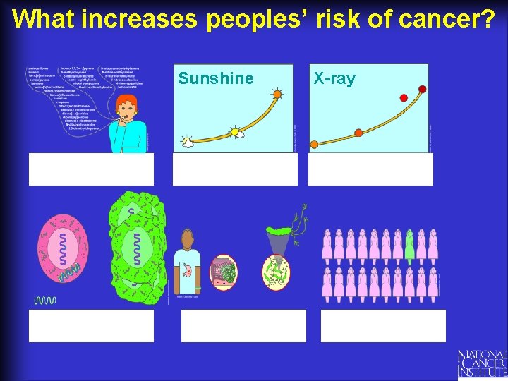 What increases peoples’ risk of cancer? Sunshine X-ray 