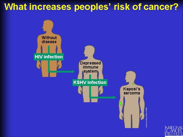 What increases peoples’ risk of cancer? Without disease HIV infection Depressed immune system KSHV
