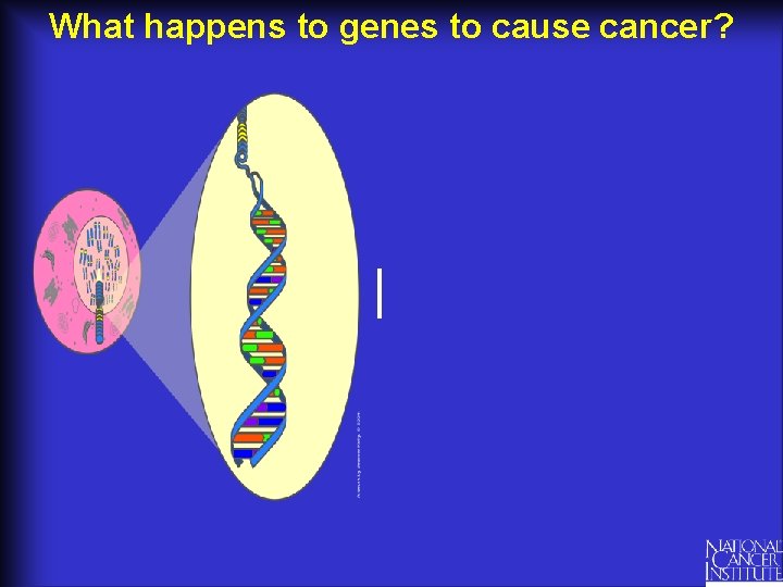 What happens to genes to cause cancer? 