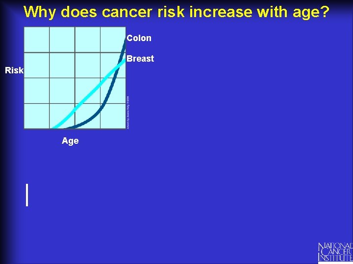 Why does cancer risk increase with age? Colon Breast Risk Age 