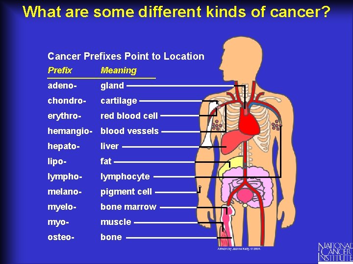 What are some different kinds of cancer? Cancer Prefixes Point to Location Prefix Meaning