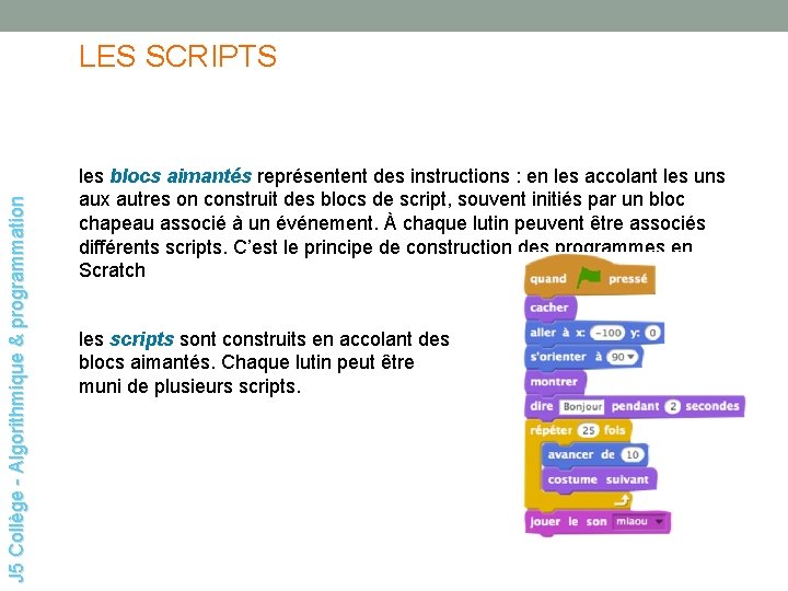 J 5 Collège - Algorithmique & programmation LES SCRIPTS les blocs aimantés représentent des