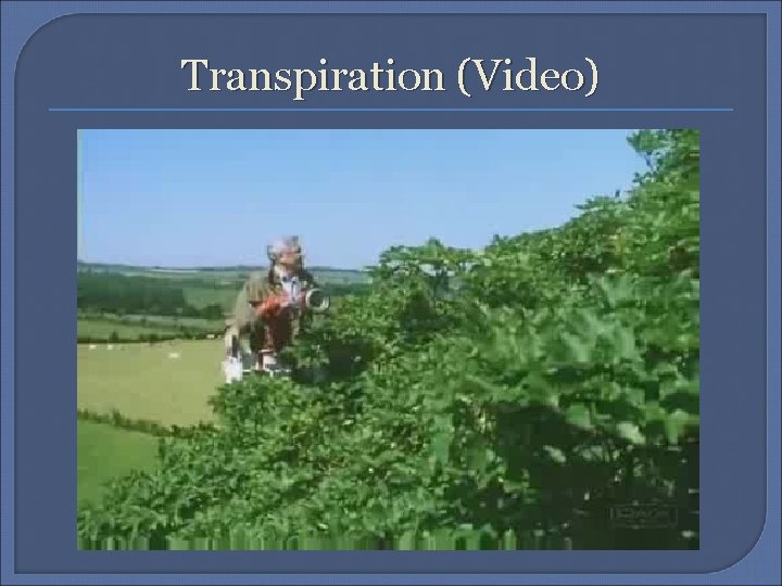 Transpiration (Video) 