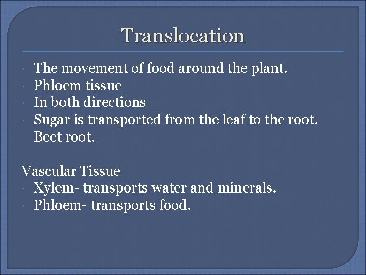 Translocation The movement of food around the plant. Phloem tissue In both directions Sugar