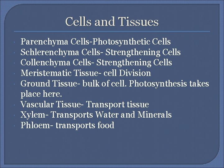 Cells and Tissues Parenchyma Cells-Photosynthetic Cells Schlerenchyma Cells- Strengthening Cells Collenchyma Cells- Strengthening Cells