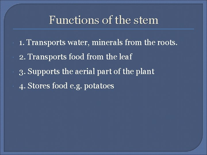 Functions of the stem 1. Transports water, minerals from the roots. 2. Transports food
