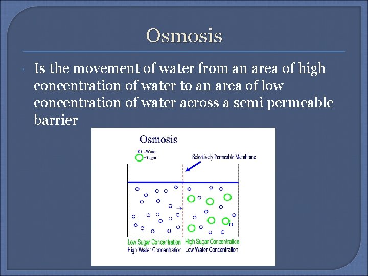 Osmosis Is the movement of water from an area of high concentration of water