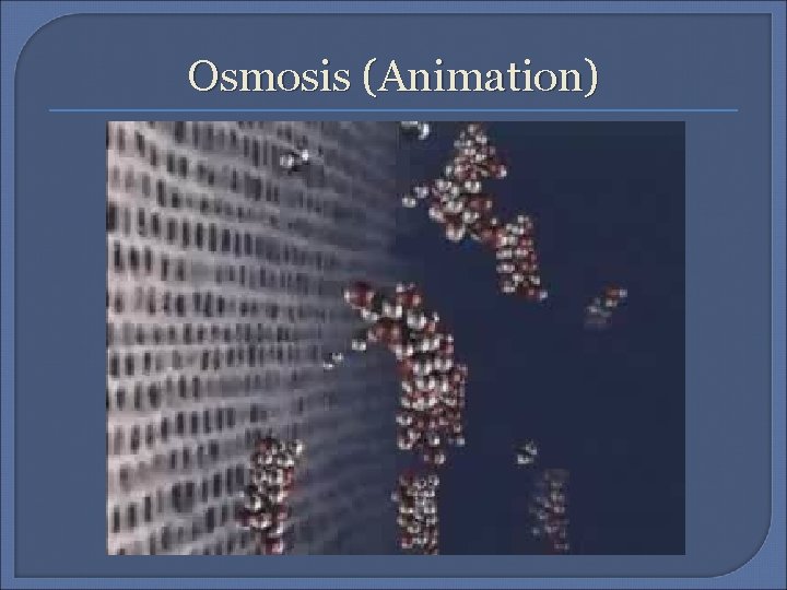 Osmosis (Animation) 