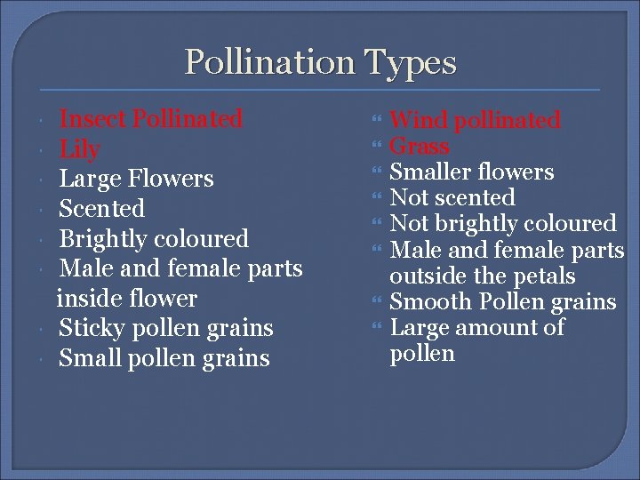 Pollination Types Insect Pollinated Lily Large Flowers Scented Brightly coloured Male and female parts