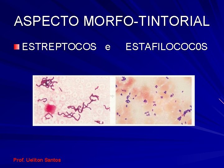 ASPECTO MORFO-TINTORIAL ESTREPTOCOS e Prof. Ueliton Santos ESTAFILOCOC 0 S 